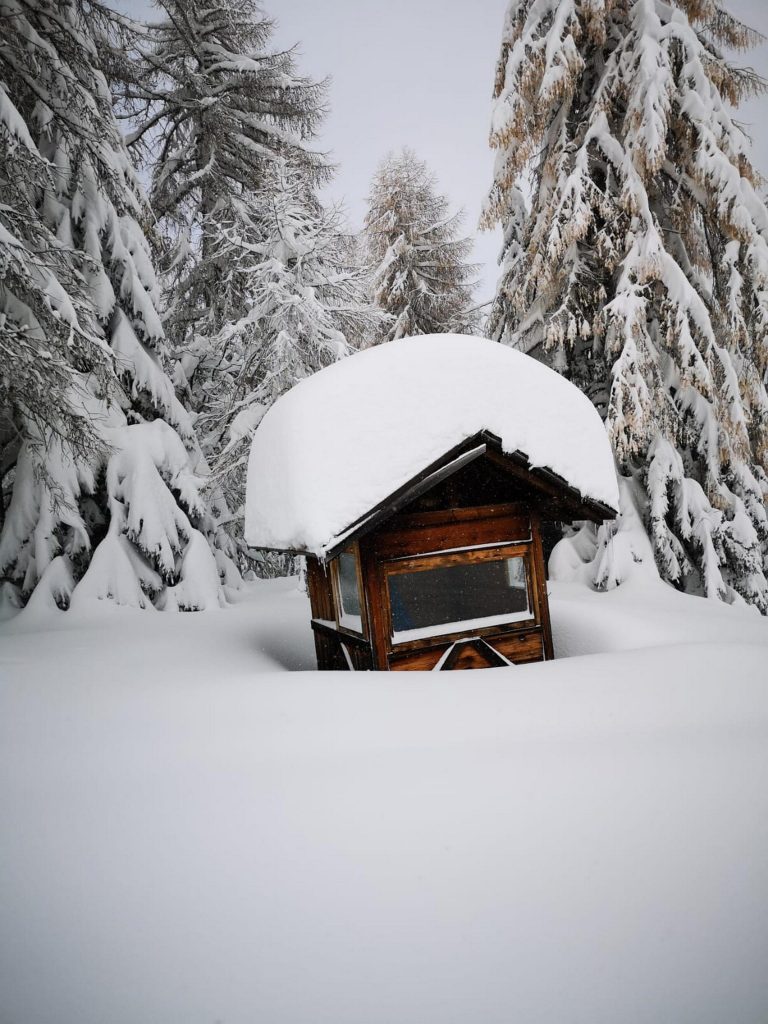 Cima Fertazza, a Selva di Cadore , nelle Dolomiti bellunesi