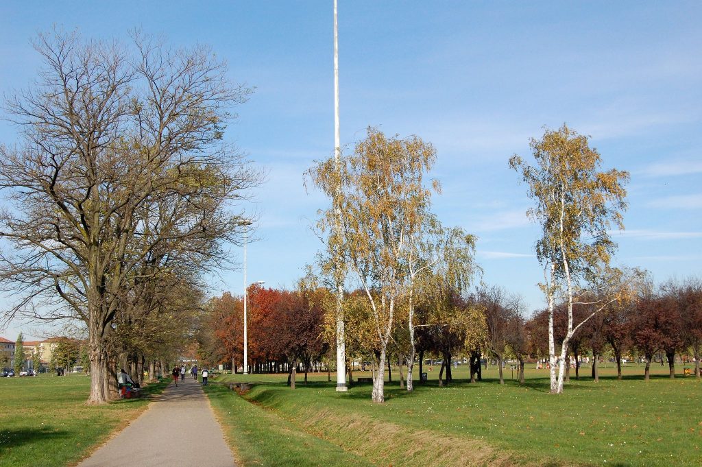 Parco di Trenno. Wikimedia commons, Luca Volpi