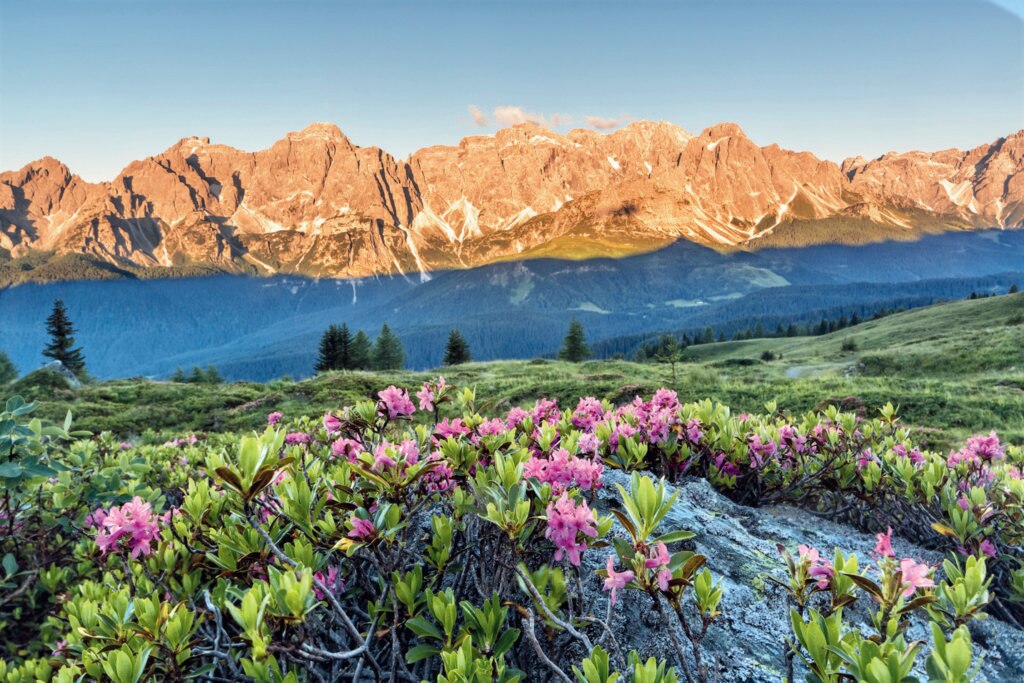 Se il Gruppo del Popera rientra formalmente nelle Dolomiti di Sesto, la sua porzione più meridionale, affacciata sulla Val Padola e sulla Val d’Ansiei, si distingue per gli ambienti isolati e impervi e la scarsa frequentazione. Foto @ Luciano Gaudenzio