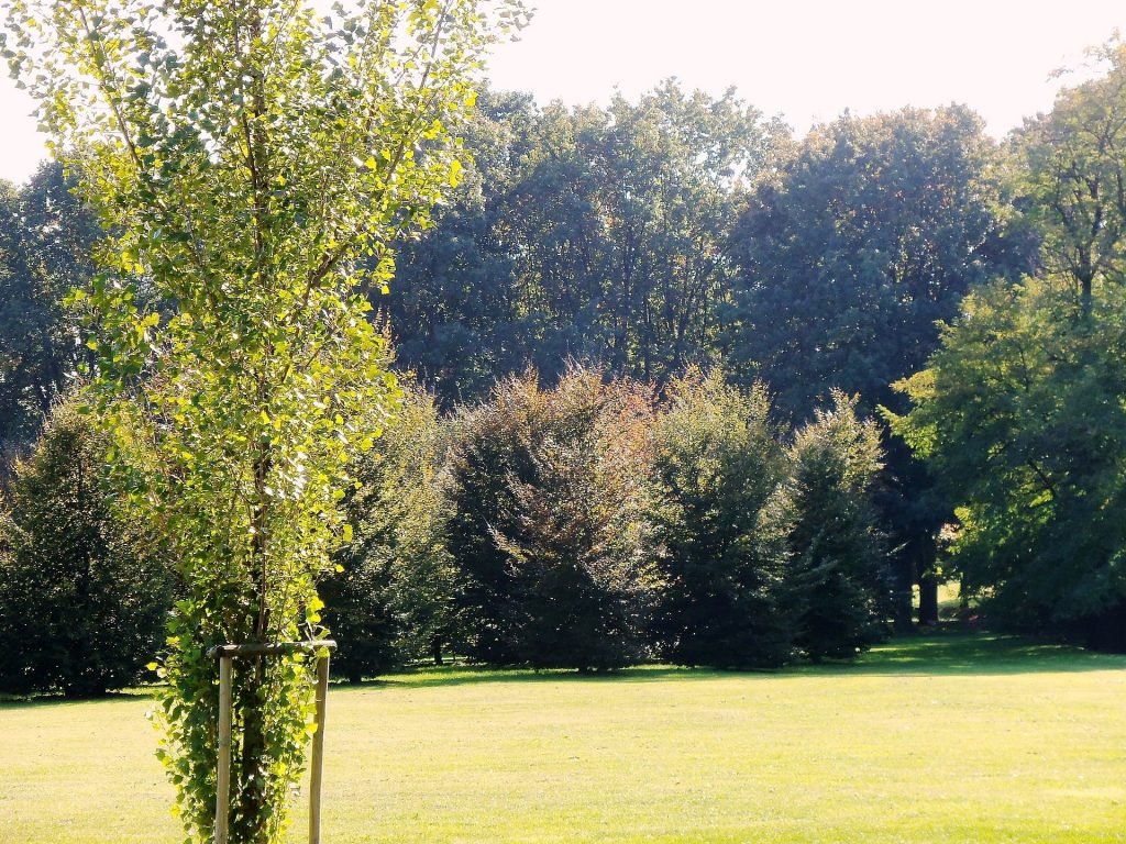 Parco Forlanini. Foto @ wikimedia commons