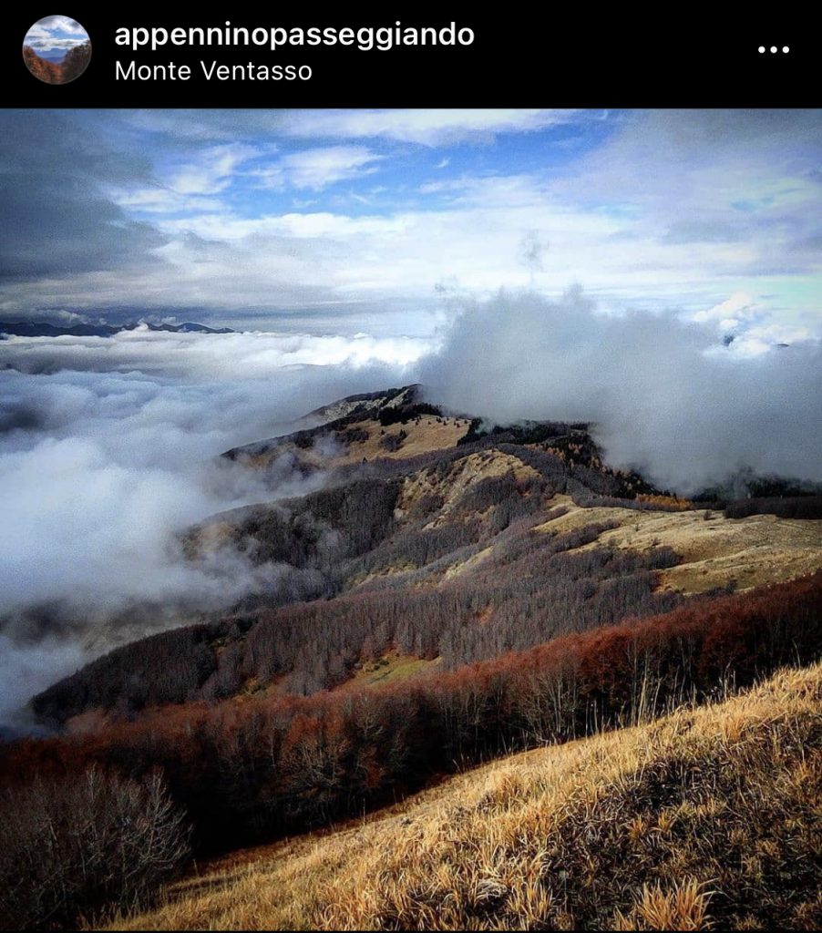 Appenninopasseggiando