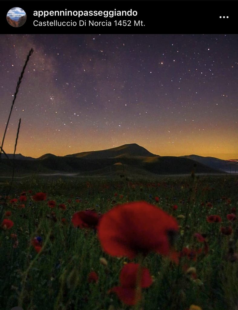 Appenninopasseggiando