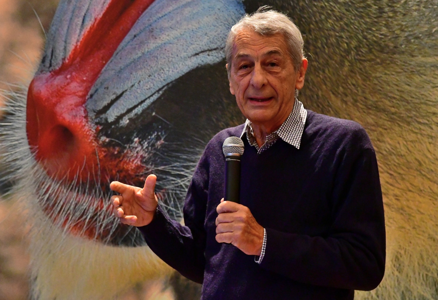 Luigi Boitani al Bioparco