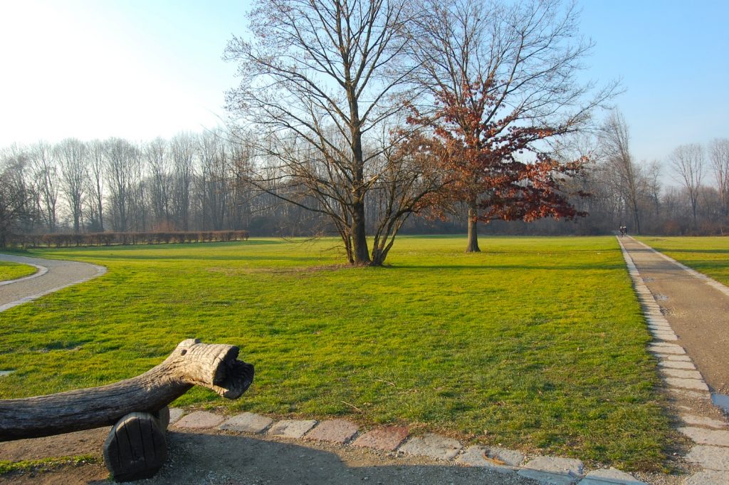 Boscoincittà. Foto @ Wikimedia commons, Luca Volpi