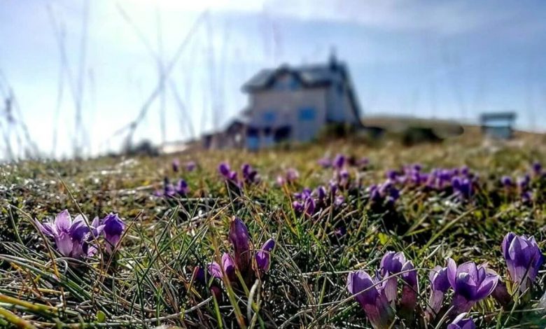 stage, rifugi, sat