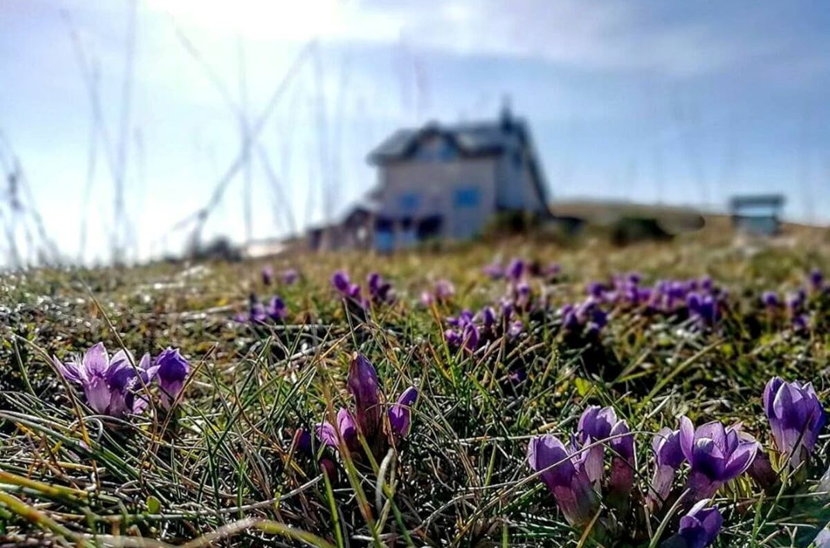 stage, rifugi, sat