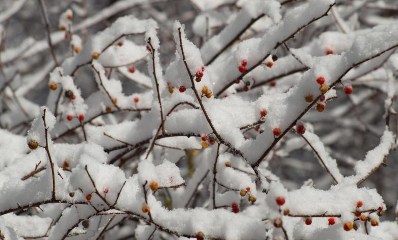 neve, tempesta