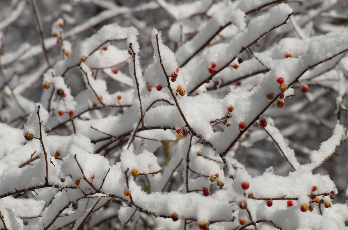neve, tempesta