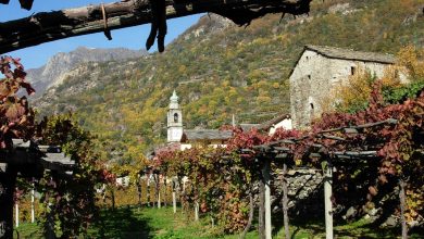Photo of Il vino e la montagna