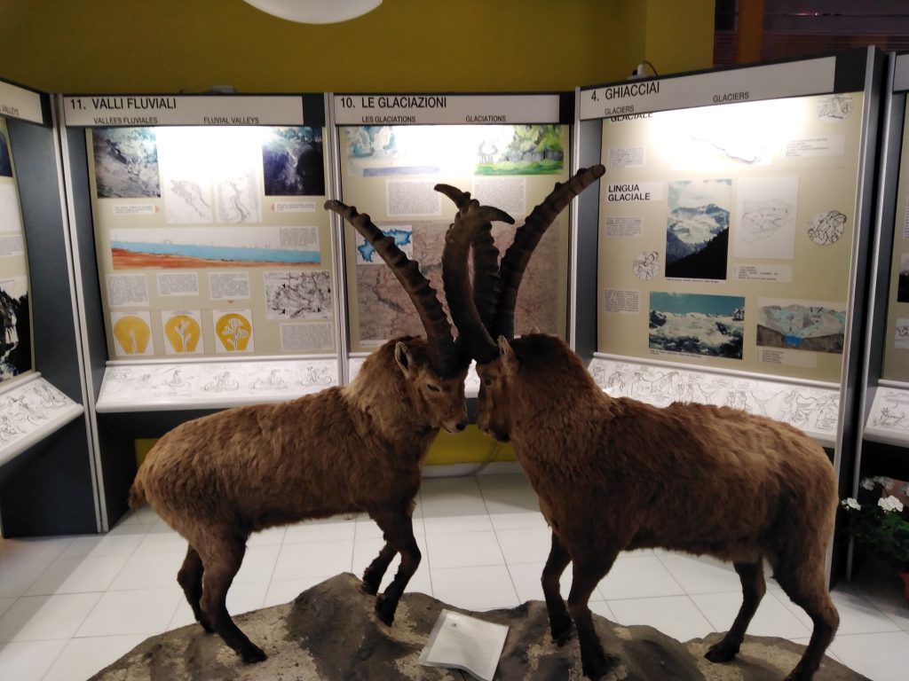 La delegazione Pakistana nel Parco nazionale del Gran Paradiso