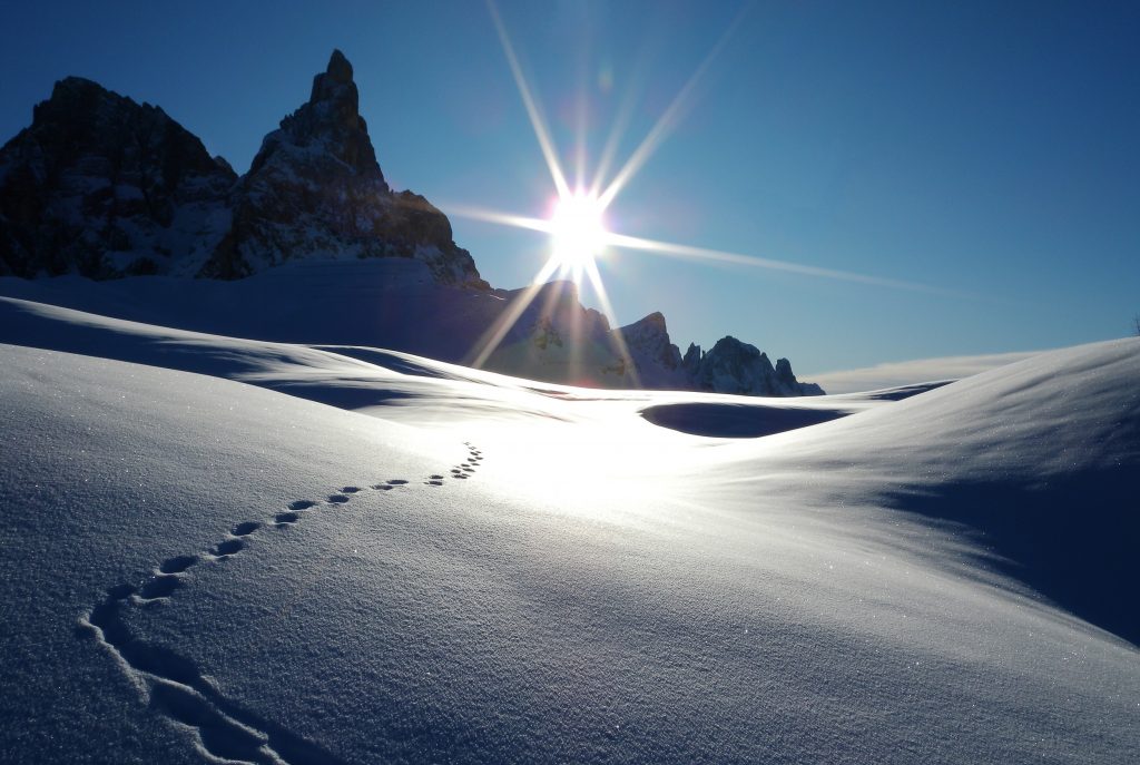 Le Pale di San Martino