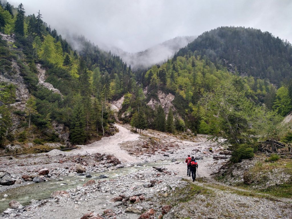 La dorsale dell