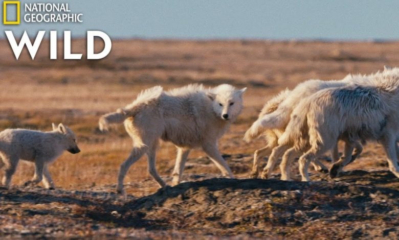 national geographic