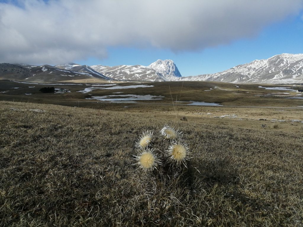 Campo Imperatore 12 gennaio 2020, foto di Paolo Baldi