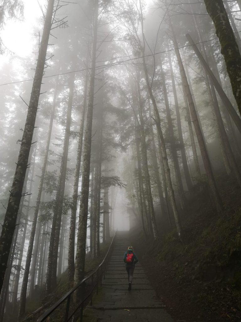 Vallombrosa, Toscana - Foto Tatiana Marras