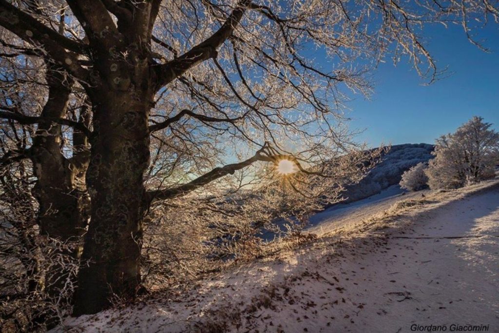 giorni della merla, meteo