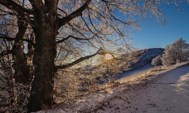 giorni della merla, meteo