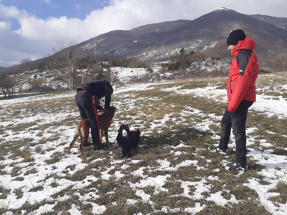 Il monitoraggio del cucciolo di orso marsicano proseguiranno nei prossimi giorni - Foto FB Parco Nazionale d'Abruzzo, Lazio e Molise