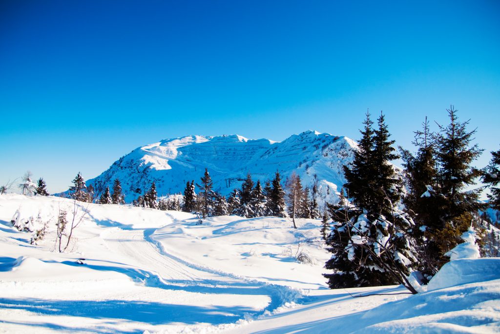 Una bella giornata di sole sulle piste di Monte Tamai, nel comune di Ravascletto.