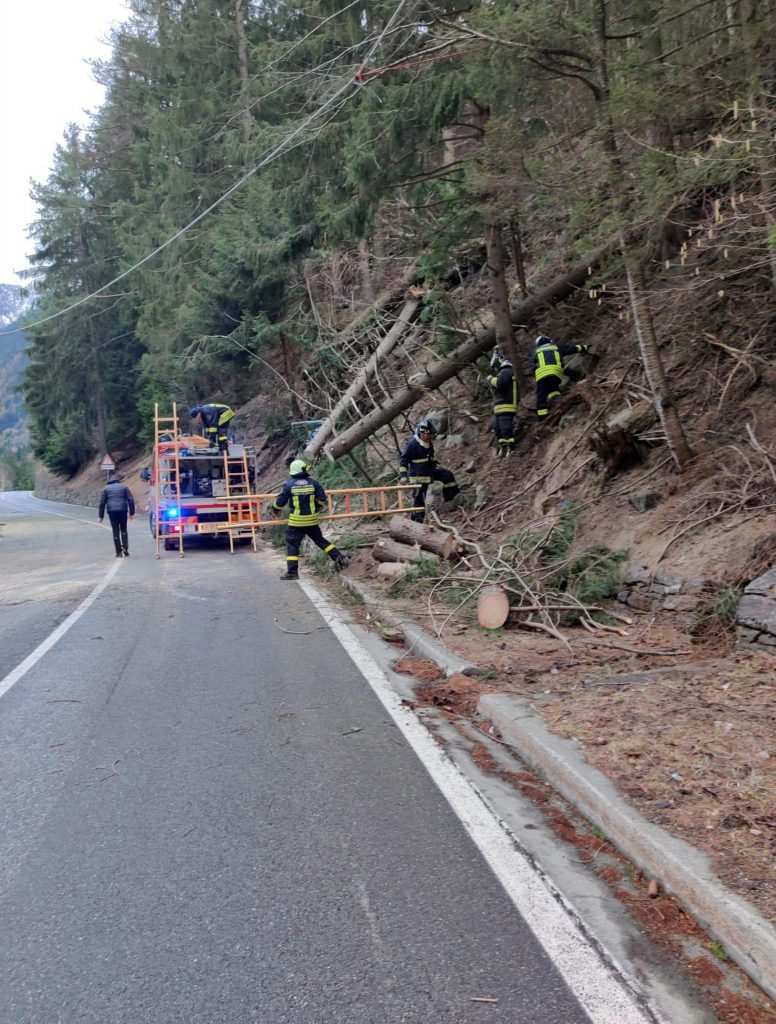 Alberi abbattuti e danni a strutture in Valle d