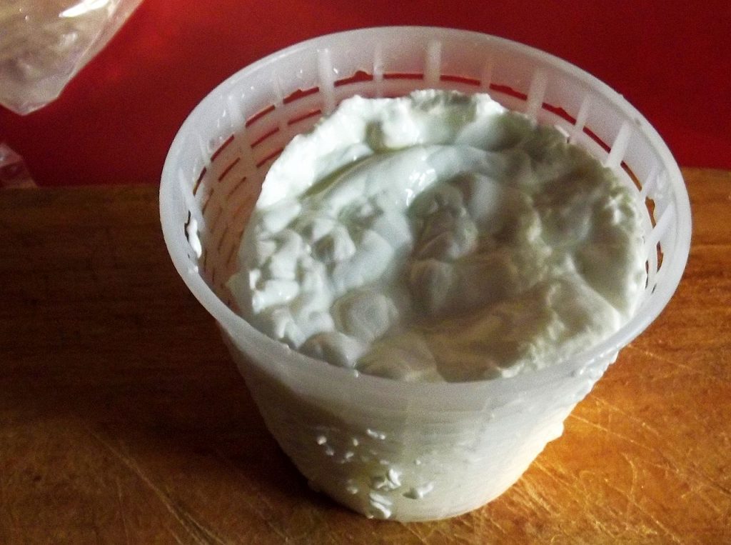 Rebelec. Foto @ F Ceragioli - commons.wikimedia.org