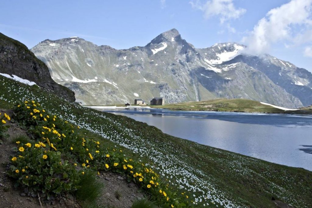 sentieri, google street view, valle d'aosta