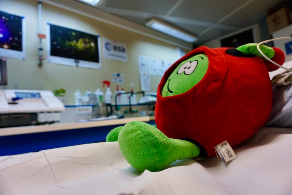 Quinto suggerimento: prendersi cura del proprio corpo - Foto FB Paxi