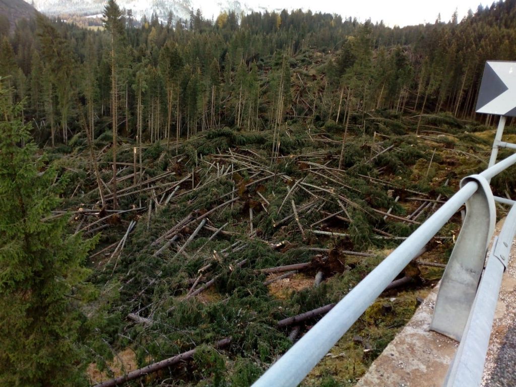 I danni ingenti causati dal vento nella zona di Carezza, in val d