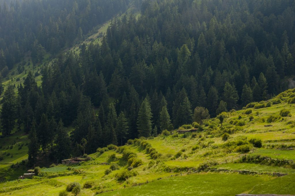 Il Gilgit Baltistan