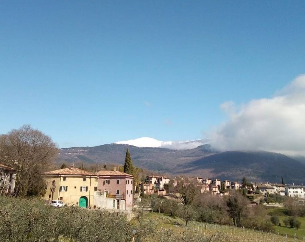 Monte Baldo da Marciaga, di gigi Miele