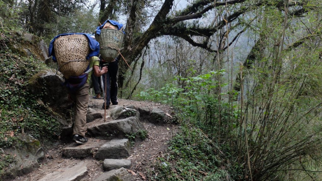 Verso il Santuario dell