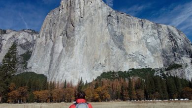 streaming, free solo, alex honnold