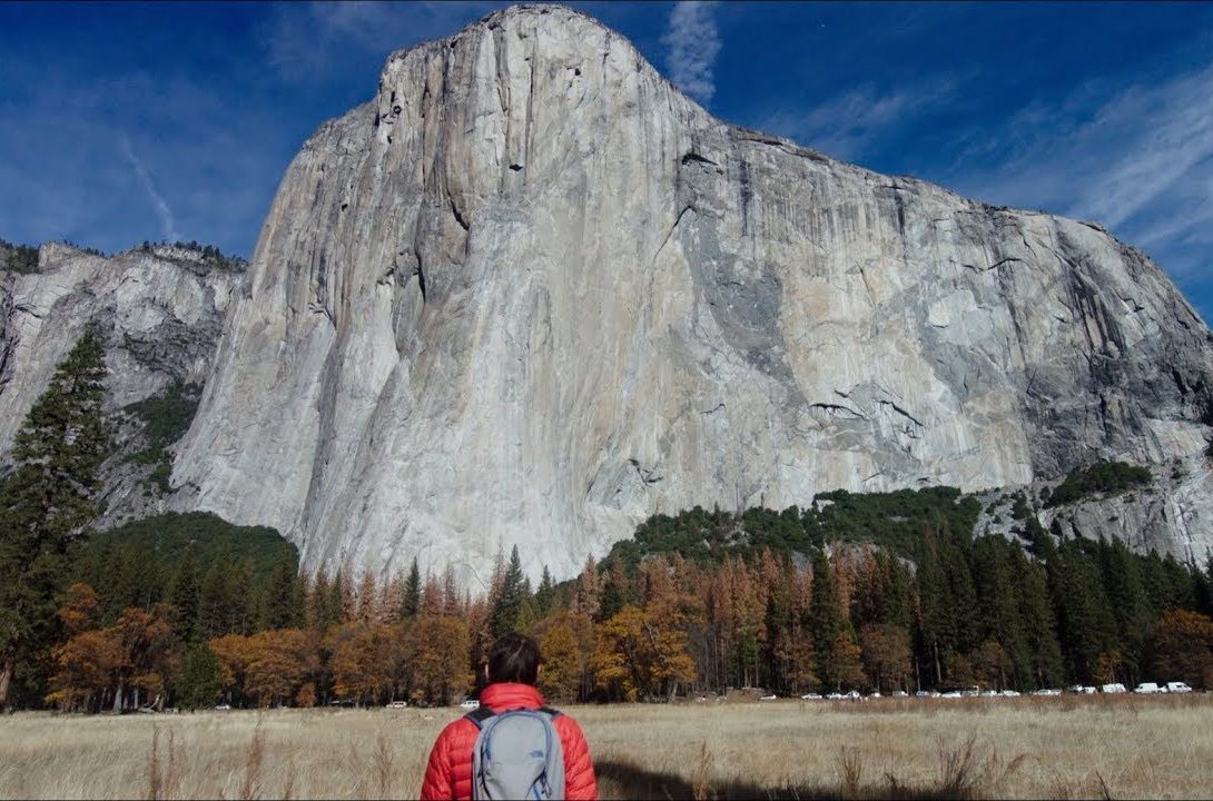 streaming, free solo, alex honnold