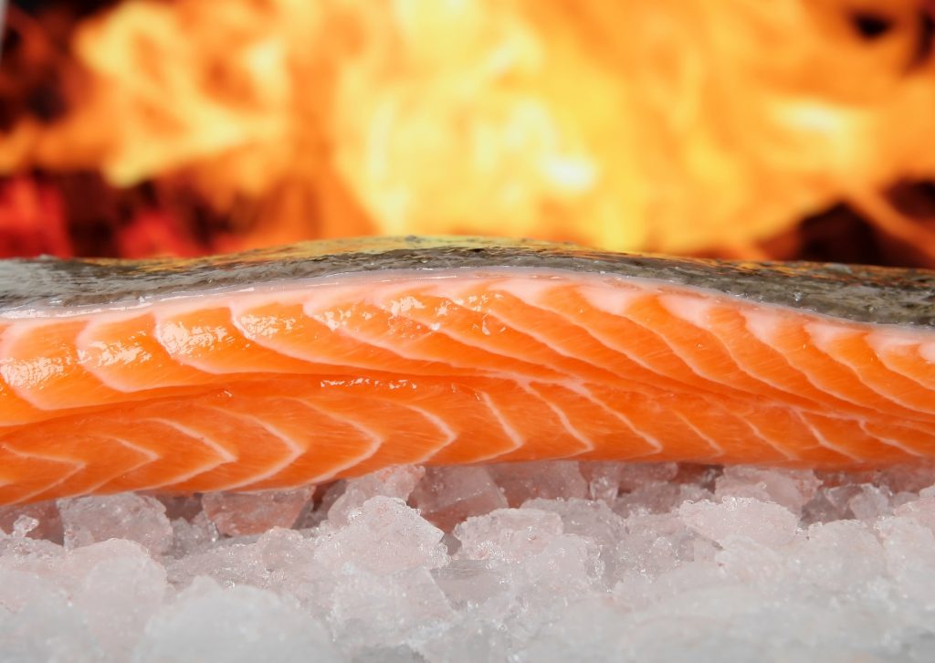 Il salmone è un alimento ricco di omega 3