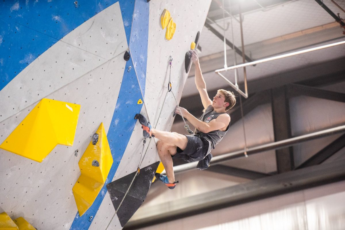 campionati europei, arrampicata sportiva