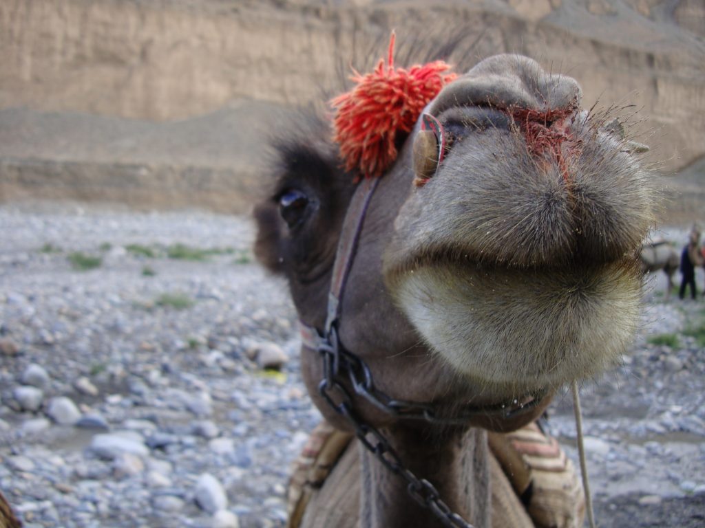 Foto @ Agostino Da Polenza