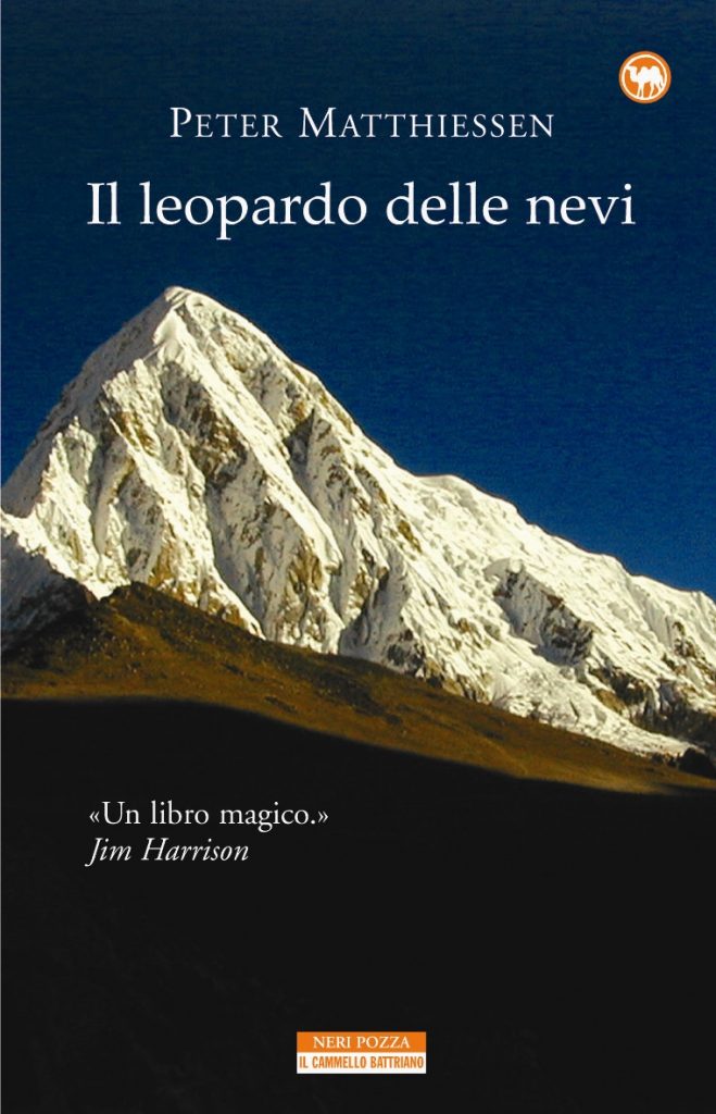 Il leopardo delle nevi