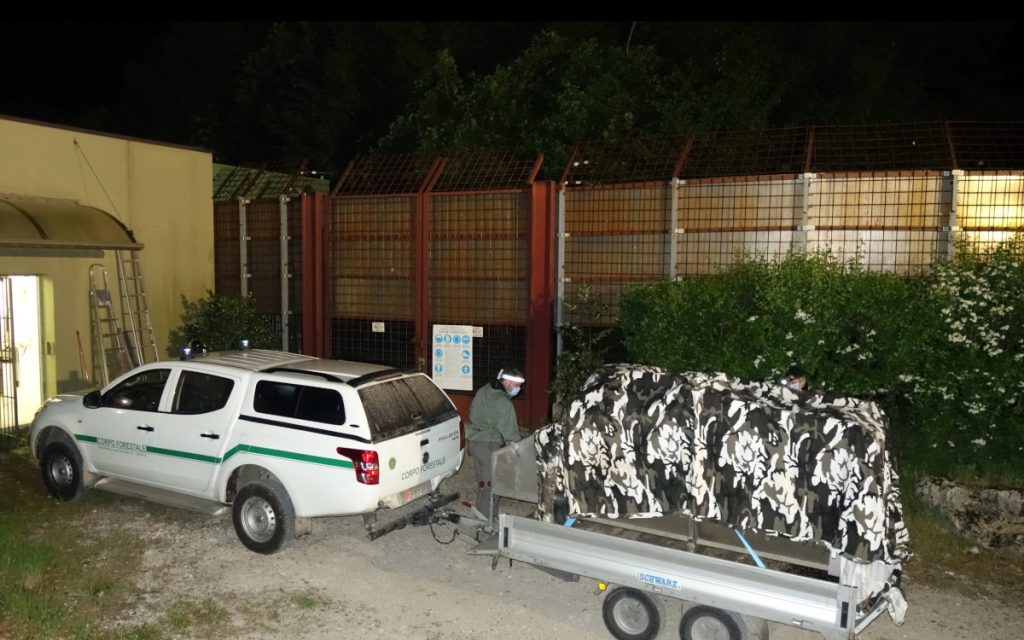 M49 ARRIVO AL CASTELLER