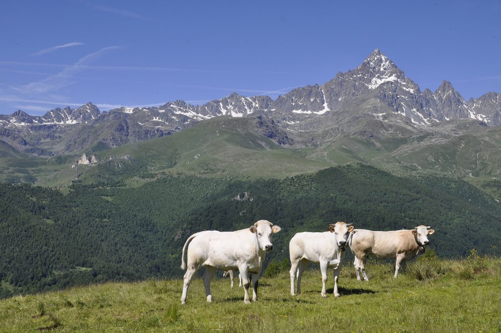 Monviso - Foto Nonmisvegliate @Pixabay