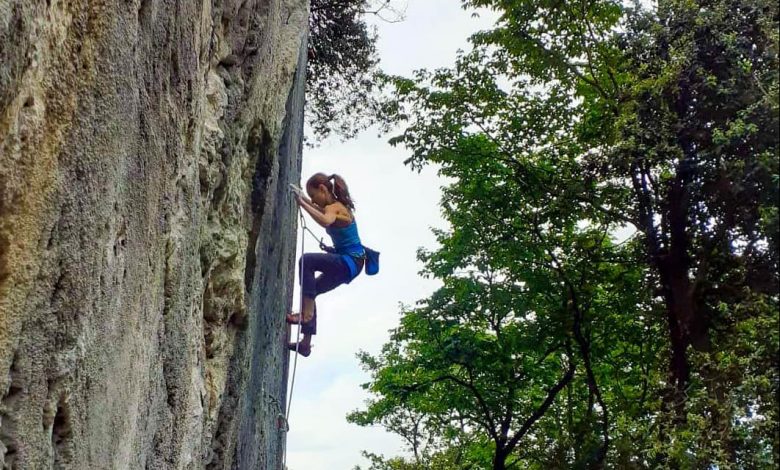 laura rogora, arco