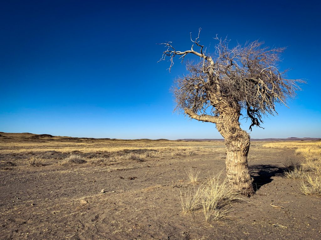 Questo è un ambiente estremamente ostile alla vita. Foto archivio Omar di Felice
