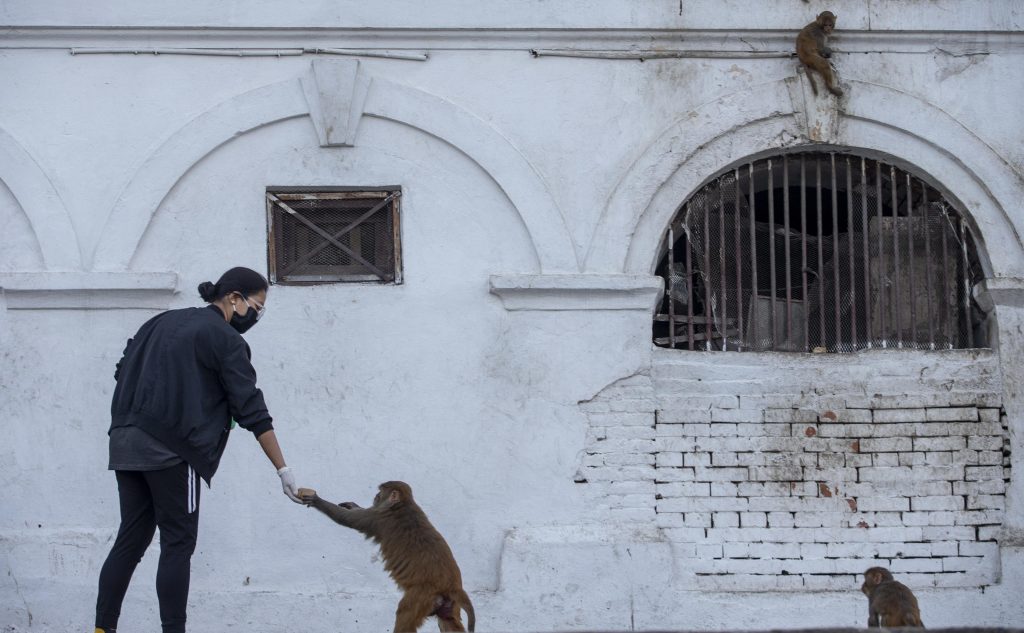 Kathmandu durante il lockdown. Foto @ ANSA EPA/NARENDRA SHRESTHA