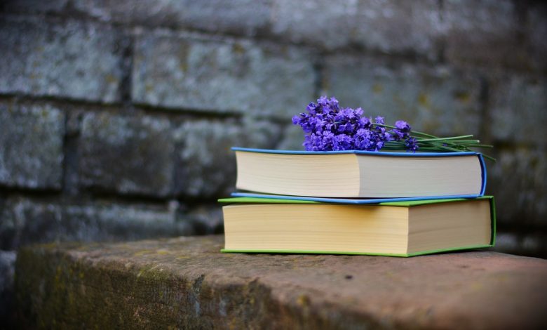 una montagna di libri