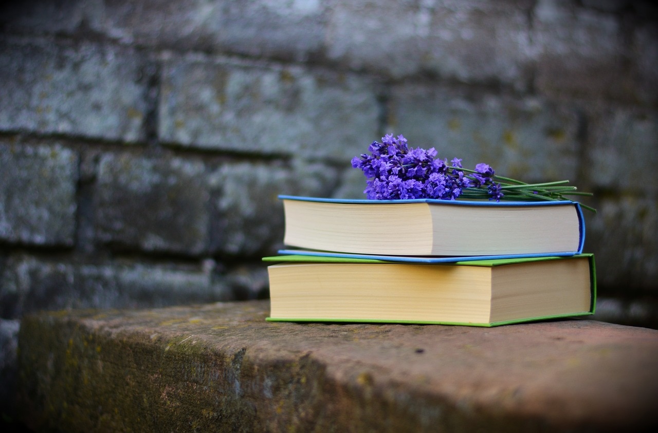 una montagna di libri