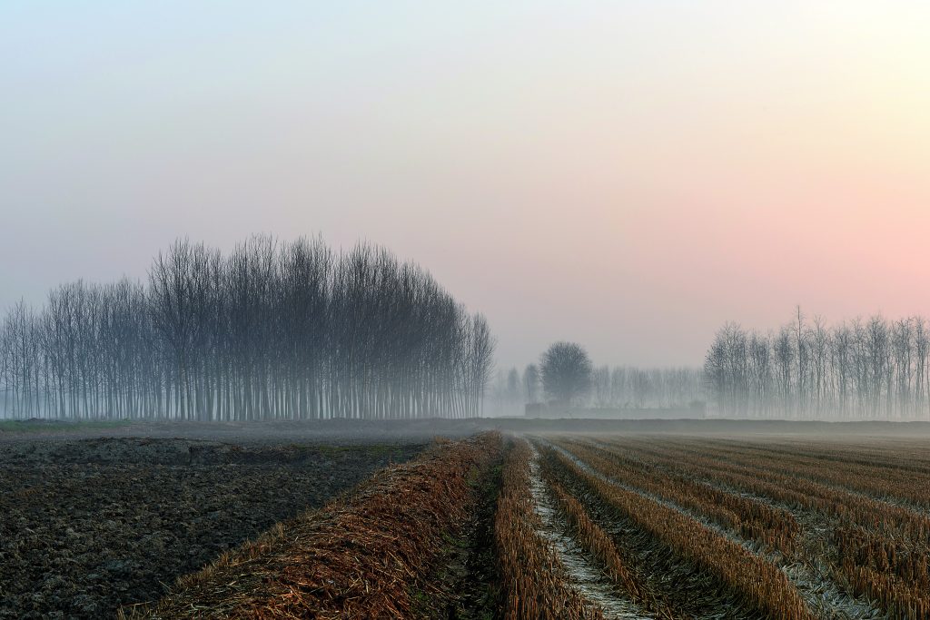 Cammino d’autore «Dunque il Po comincia a Piacenza, e Alba in Lomellina, regione della bassa Lombardia il cui nome si fa risalire ai Romani, quando costituiva un’individualità etnica riunita attorno al «municipium» di Lomello. Foto ISTOCKPHOTO