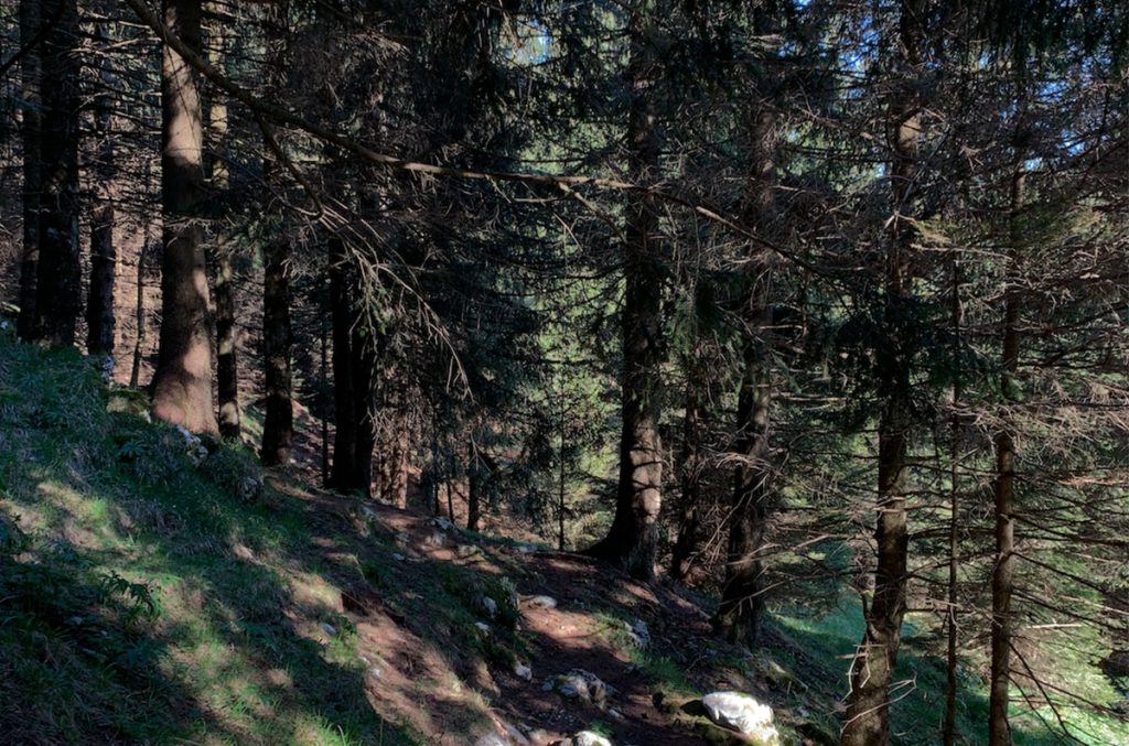 Sentiero verso la Baita Cassinelli. Foto @ Francesca Cortinovis