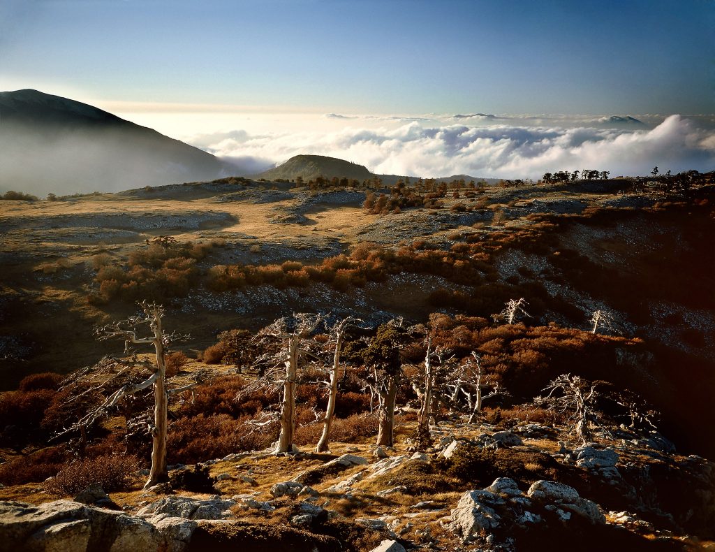Foto FB Parco della Sila