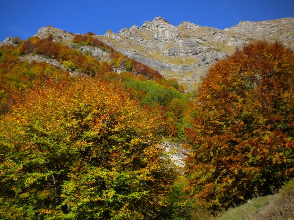 Anello lago Ortanza - Foto FB Club Alpino Italiano