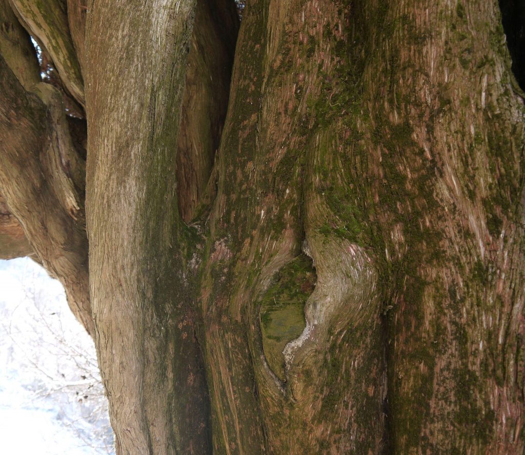 Montovolo e dintorni - Foto FB Club Alpino Italiano