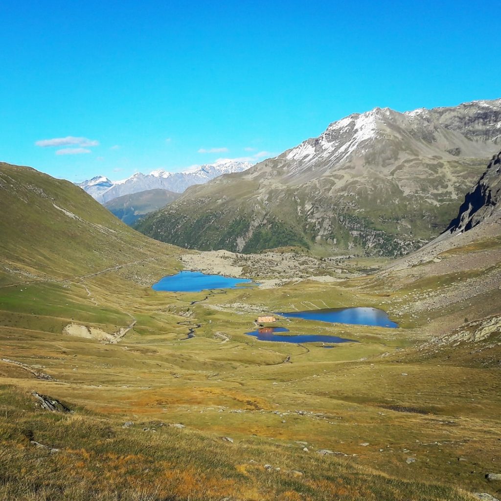 Val Viola, protagonista del videoitinerario "Gita in Val Viola" del giovedì - Foto FB RifugioViola